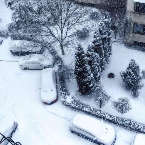 下雪❄️是景～除雪是情～花园新城E九居民清扫积雪暖人心