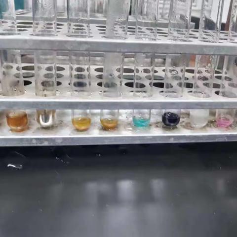 营养和生命化合物的性质