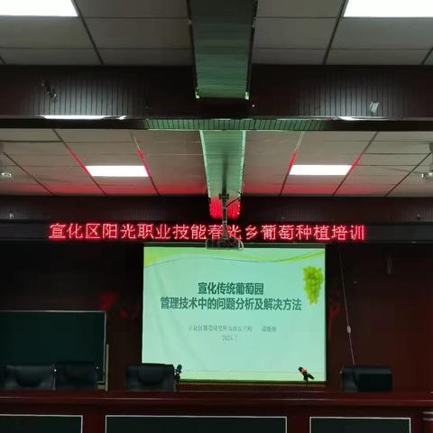 宣化区教体局开展2025年宣化区阳光职业技能一一春光乡葡萄种植培训