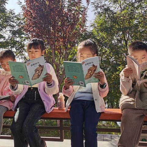 秋日里的读书会