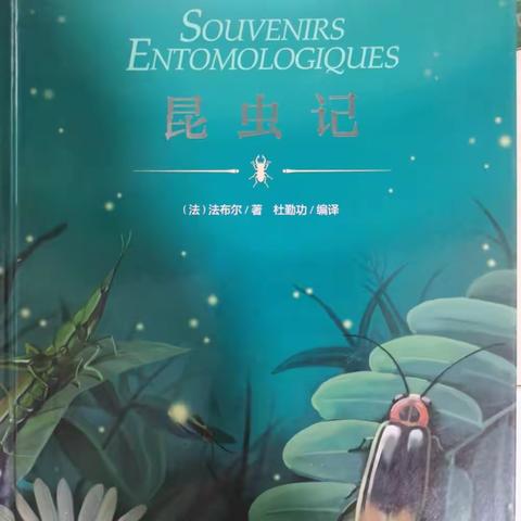 《昆虫记》阅读分享
