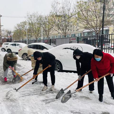 文泉社区金宫片区组织扫雪活动——做好群众平安出行的“守护者”