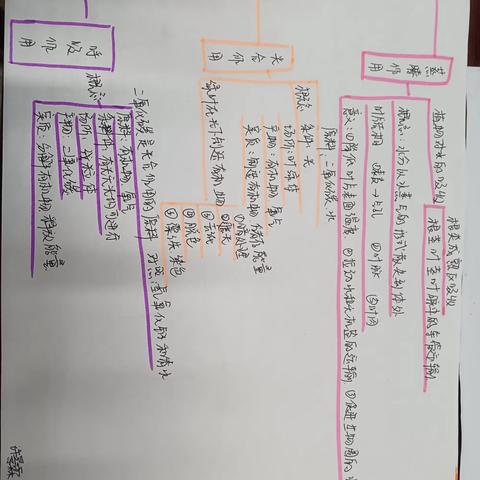 阳光未来外国语学校八年级生物学科活动     绿色植物三大生理作用思维导图