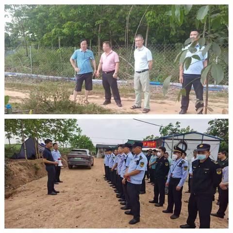 打击违规非法养殖行为，促进牛蛙产业规范发展