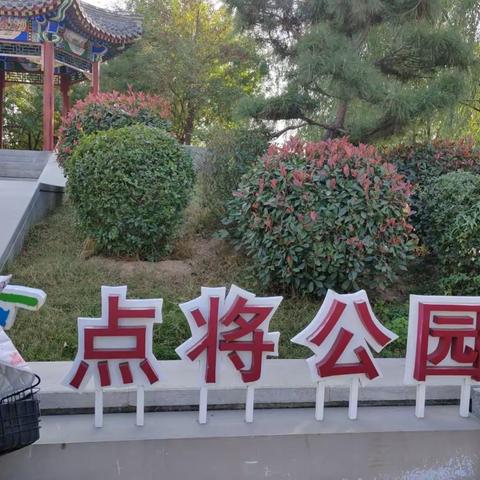 你好十月，记录点将台公园读书，观察交流会。