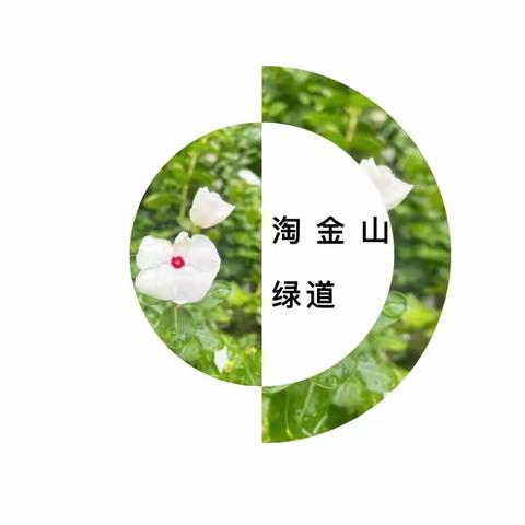 11月4日二（5）班亲子活动流程