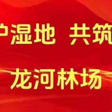 “保护湿地 共筑未来” ——阿木尔林业局龙河林场开展黑龙江湿地日系列宣传活动
