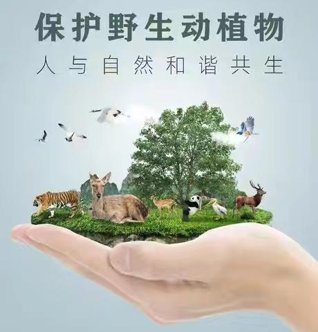 龙河林场开展“世界野生动植物日”主题宣传活动