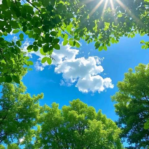 【海南华侨中学教育集团琼山第二中学】八（1）班生地会考加油仪式