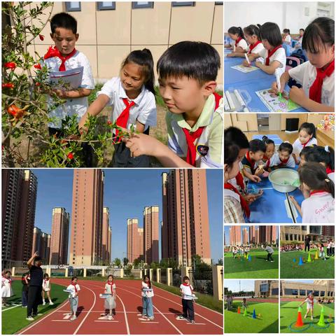 深耕教学提质 笃行初心育人——曙光三小2026年上半年教导处工作纪实