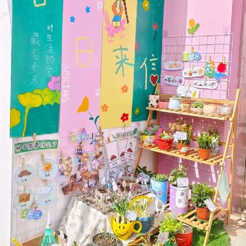 【一幼活动纪实】“创区域智慧，育自然之趣”——崇礼区第一幼儿园开展区域及植物角环境创设观摩评比活动