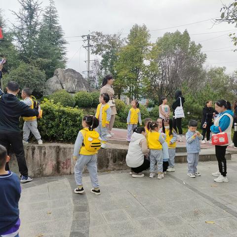 登高品菊、舞动太极，孝润童心庆重阳——旬阳市第二幼儿园大四班社会实践活动