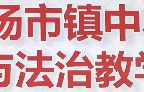 涟源市杨市镇中心学校小学道德与法治教学竞赛