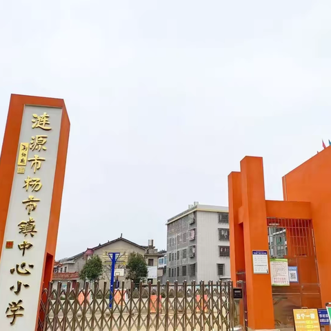 杨市镇中心小学 2024年秋季一年级新生招生公告