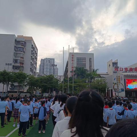 美苑小学实习周记