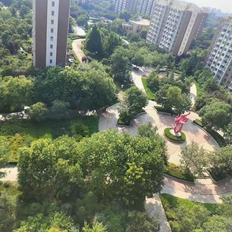 钢城新苑项目管理处周报（2025年11月24日—2025年11月30日）