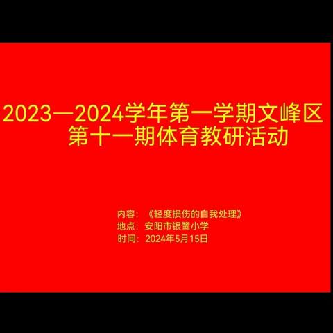 安阳市文峰区2023-2024学年第二学期第十一期体育教研活动