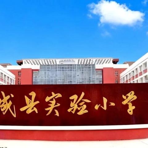 共育生命力量 守护向阳成长