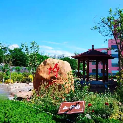 劳动启心智，实践促成长—— 记秦安县第一小学教育集团（总校）第十六周劳动实践