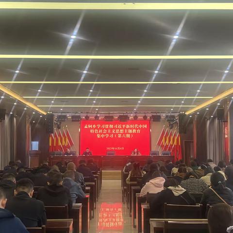 孟轲乡学习贯彻习近平新时代中国特色社会主义思想主题教育集中学习（第六期）