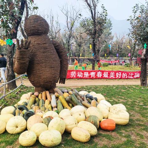 农耕之乐，秋收之美 ——平西府中心白庙小学五年级龙母庄园社会大课堂实践活动