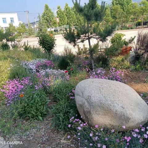 宫前村开展“三五”创建活动，描绘乡村振兴底色