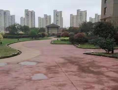 服务不止  暖心相伴 福田物业世家花园11月工作汇报