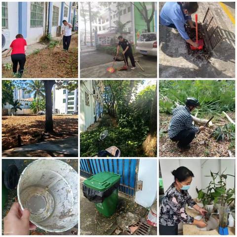 东岸社区病媒生物防制工作情况