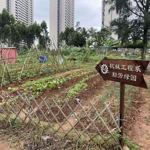 机械工程系“勤劳绿园”