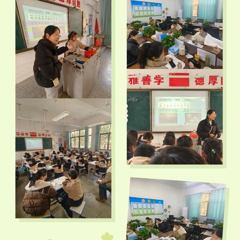 蔷薇花开的简篇