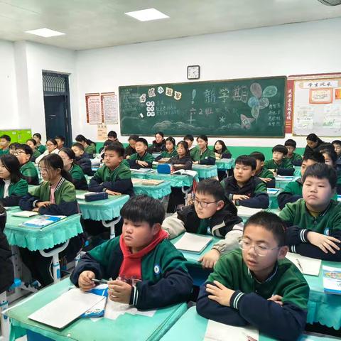 百分数“变身记”：六年级数学公开课的趣味探索