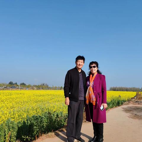 观赏万亩油菜花 领略南国美春色（昆明晋宁沙堤2024.2.27～3.2）