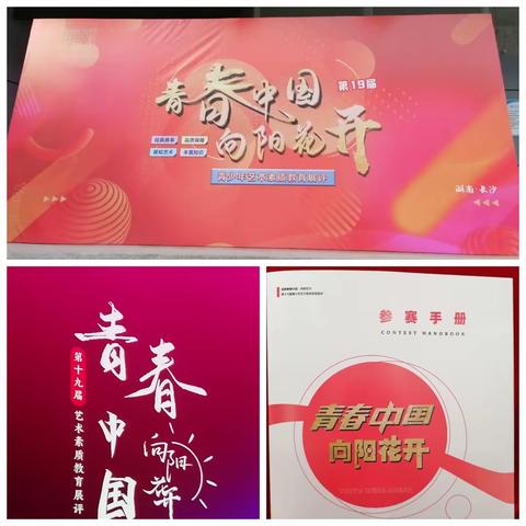 青春中国.向往花开20231126