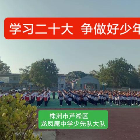 学习二十大   争做好少年