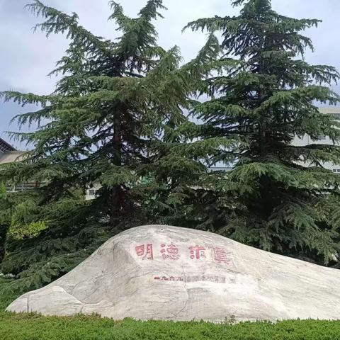 家校同心携手，共育精英学子——临洮中学高一（2）班家长驻学活动侧记