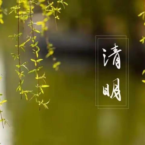 清●明－－第三小学六（5）班习作集锦