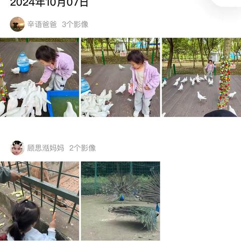 鸠江北路幼儿园小六班十月班本课程——嗨！我的动物朋友