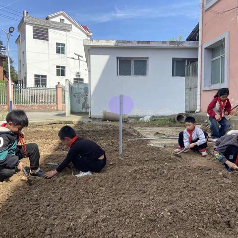 劳动点亮春天，实践成就梦想——夏造镇柏岩小学开展劳动基地种植活动