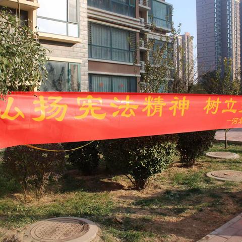 弘扬宪法精神，树立宪法权威—振头街道振四街社区开展“12.4”国家宪法日暨宪法宣传周活动。