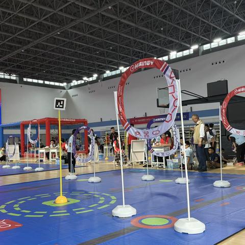 小小无人机，大大科技梦——厉家寨小学无人机大赛临沂站纪实