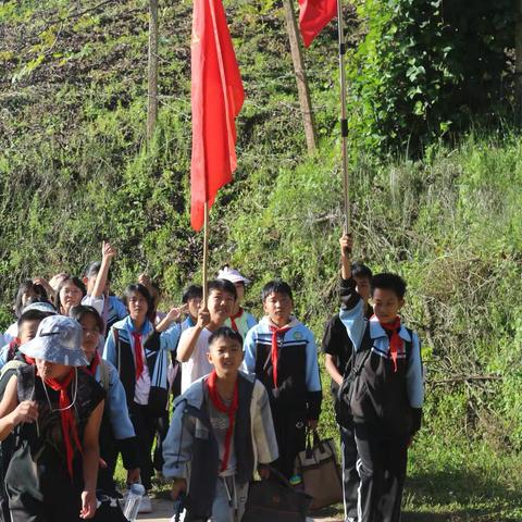 漫步秋野，趣享时光