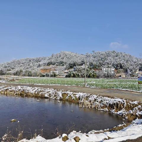 村岭村委会开展“我为群众办实事”——清扫积雪，清除道路障碍物志愿服务活动