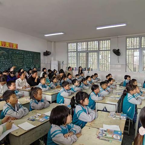 2023-2024学年第一学期蒋庄中心校小学数学同课异构活动