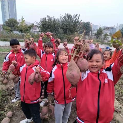 劳动励心志   实践助成长——平顶山市长虹学校小学部师生劳动实践活动纪实
