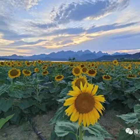 水郡花都-幸福满山 自在如湖