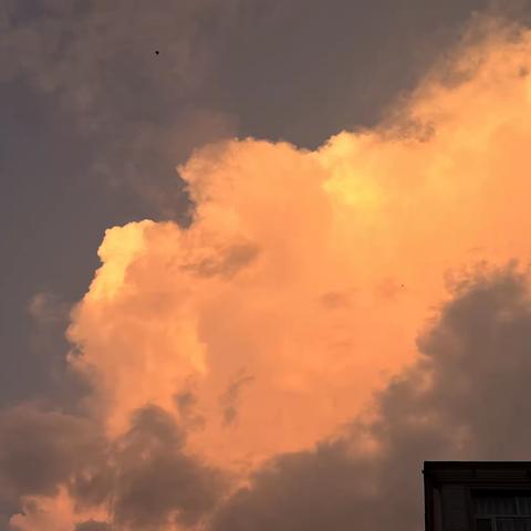 城北学校成童礼