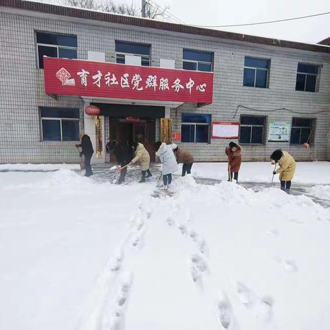 “解民忧，清积雪，保障出行暖人心”育才社区党委组织开展扫雪除冰志愿服务活动