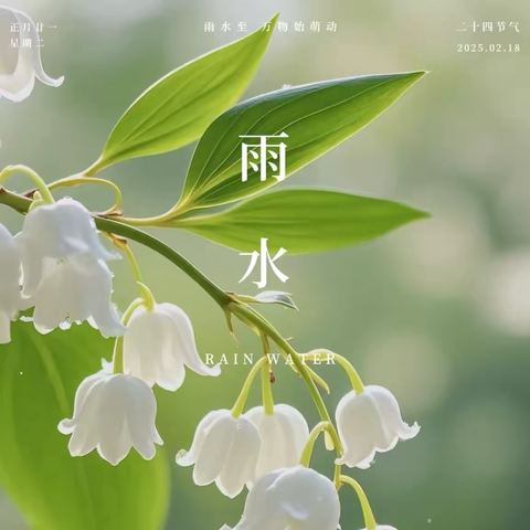 “雨”你相遇  万物新生    ——滁州市蓝天幼儿园中班组雨水节气活动