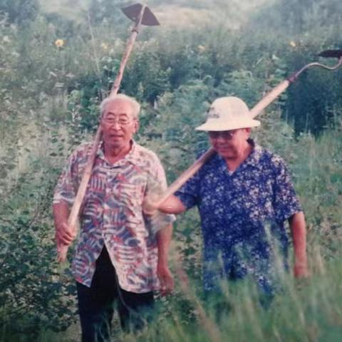 满腔热血赴沙海 一片丹心染绿洲