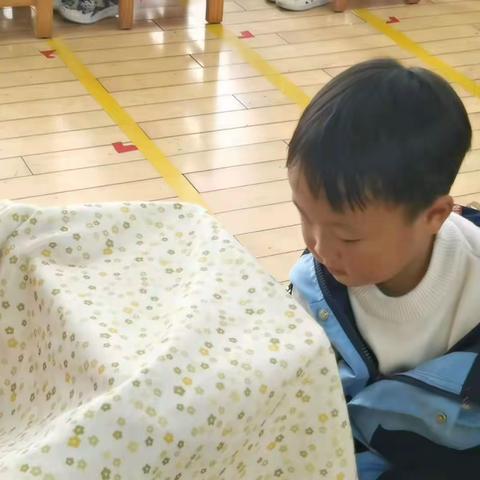 “小舞”的故事——幸运儿周末饲养💕